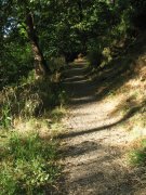 7.27.06 Oaks Bottom 025 